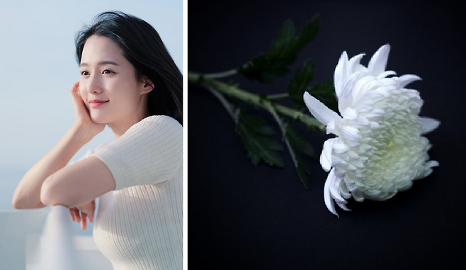 배우 남보라(34·사진 왼쪽)가 자신의 사회관계망서비스(SNS)에 하얀 국화꽃 한 송이 사진(〃오른쪽)을 올리며 고(故) 노영국을 추모했다.