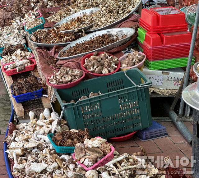 ▲버섯 시장이 열리고 있는 괴산군의 청천면의 청천푸른내시장, 오는 23일부터 24일까지 이틀간 버섯축제도 개최된다. ⓒ 프레시안(문상윤)