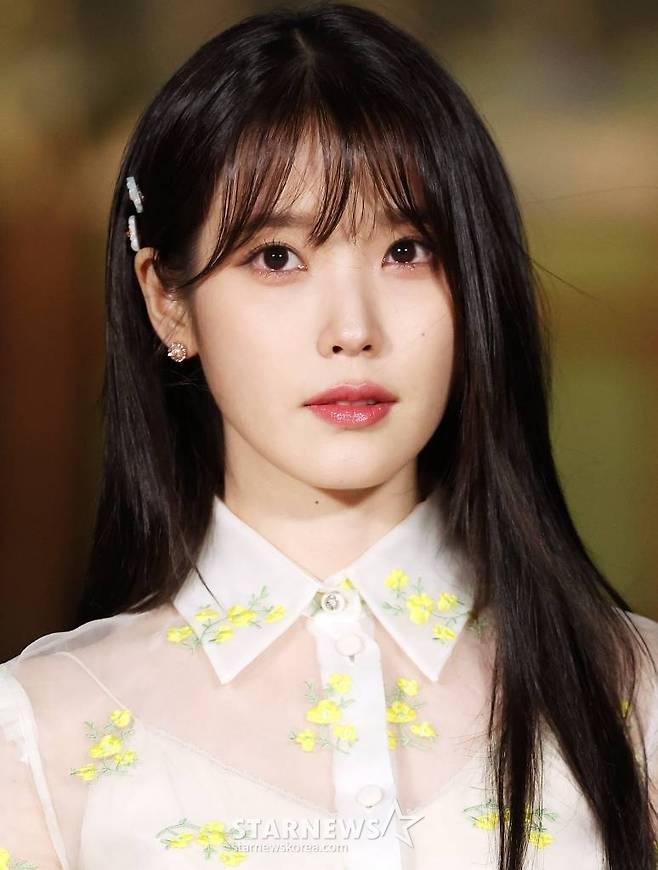 /사진=김창현 기자 chmt@