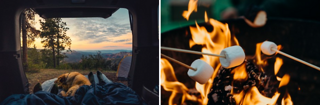 사진=언스플래쉬