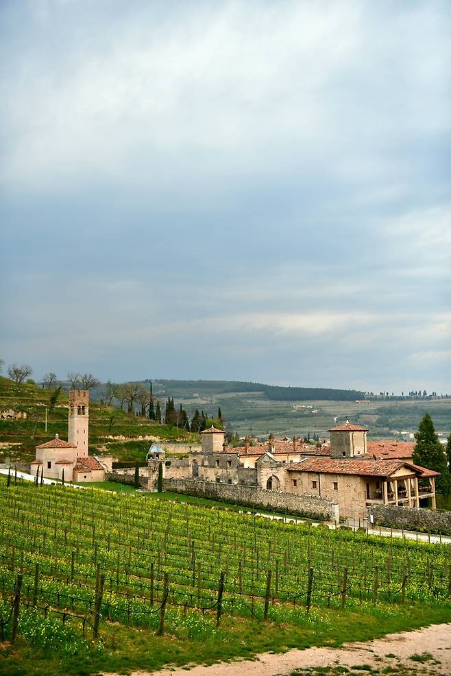 알레그리니 빌라 델라 토레.