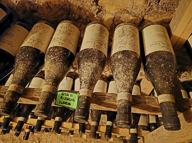 산타마리아 발베르데 아마로네.