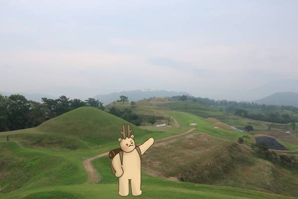 함안 말이산고분군의 전경. 허시언 기자