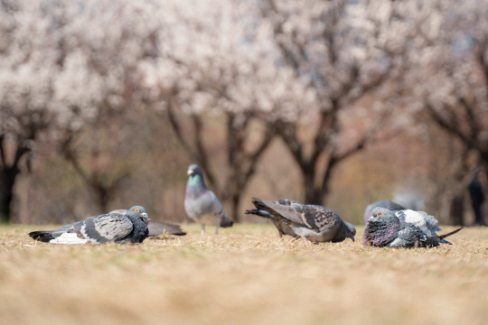 게티이미지뱅크