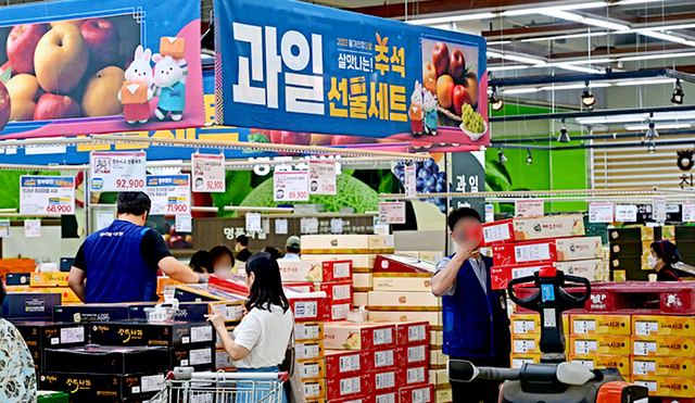 한 소비자가 농협유통 서울 양재점에서 과일 선물세트를 둘러보고 있다. 농산물 가격 인상 우려와 달리 사전예약 매출은 증가했으며, 유통사들은 명절 전날까지 농산물 선물세트 판매 확대에 나선다. 농협유통
