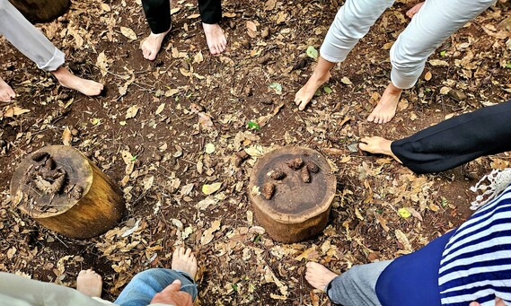 티웨이항공이 지원한 ‘눈부신 외출’ 제주도 힐링 여행에 참여한 순직소방관 유가족이 산림 치유 숲 프로그램을 체험하고 있다. 티웨이항공 제공.