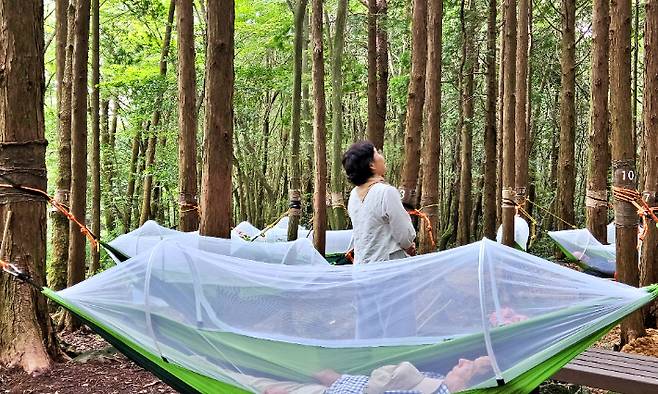 티웨이항공이 지원한 '눈부신 외출' 제주도 힐링 여행에 참여한 순직소방관의 부모님이 산림 치유 숲 프로그램을 체험하고 있다. 티웨이항공 제공