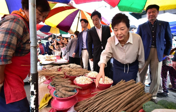 추석 맞아 현풍시장에서 장보는 박근혜 전 대통령 - 박근혜 전 대통령이 추석을 앞둔 25일 대구 달성군 현풍백년도깨비시장을 찾아 장을 보고 있다. 2023.09.25. 뉴시스