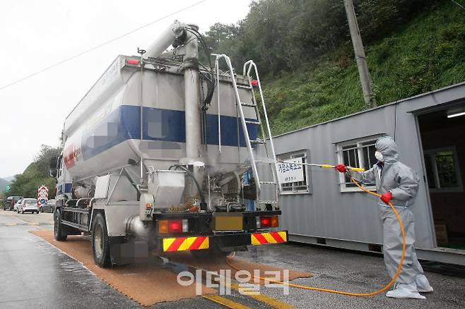 우리나라에서 처음으로 아프리카돼지열병이 발생한 지난 2019년 포천시의 한 거점소독소에서 방역기관 관계자가 사료차량을 소독하고 있다.(사진=정재훈기자)