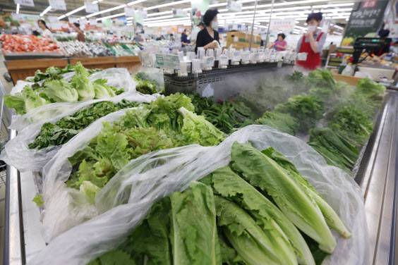 서울의 한 대형마트에서 시민들이 장을 보고 있다.(사진=연합뉴스)