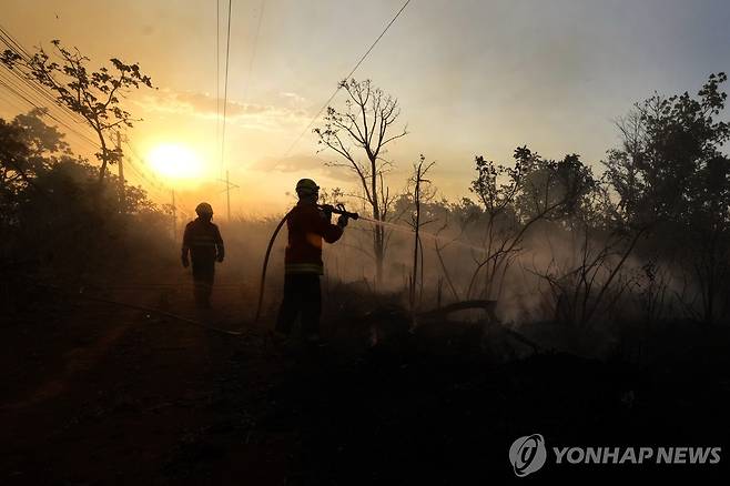 23일 산불과 싸우는 브라질 소방관들 [AP=연합뉴스]