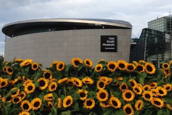 네덜란드 암스테르담 반 고흐 미술관과 그 앞에 핀 해바라기 꽃들. [반 고흐 미술관 갈무리]