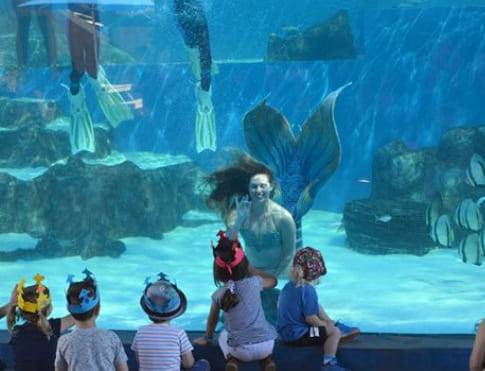 온라인 커뮤니티