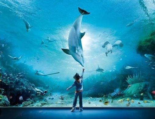 온라인 커뮤니티