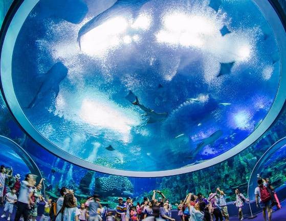 온라인 커뮤니티