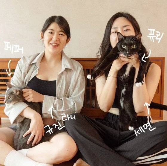 라니가 태어나기 전 찍은 가족 사진. 반려묘 페퍼와 퓨리도 있다. 사진 김씨 인스타그램 캡처