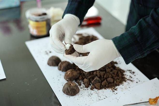 마약 적발 초콜릿 볼 속 코카인. 2023.8.2 [부산본부세관, 재판매 및 DB 금지] photo@yna.co.kr