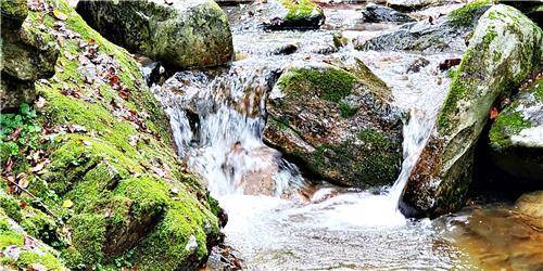 자장율사 순례길 [촬영 배연호]