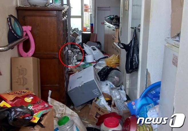 인천의 한 가정집 쓰레기더미에서 발견된 고양이들(나비야사랑해 제공) ⓒ 뉴스1