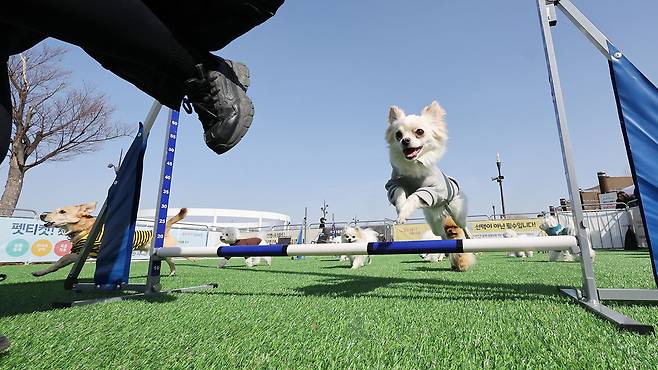 [사진 제공: 연합뉴스]