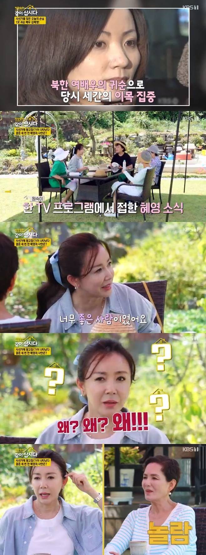 KBS 1TV ‘박원숙의 같이 삽시다’ 방송화면 캡처