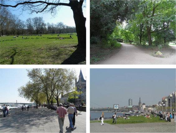 독일 본대학 연구팀은 숲, 공원 같은 초록색 자연(위 두 사진)과 강가나 바다(아래 두 사진)를 찾은 이들을 인터뷰해 각각의 환경에서 어떤 영향을 받는지 분석했다. Health & Place