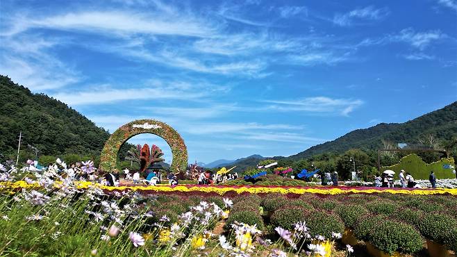 사진제공: 연합뉴스