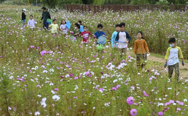 연휴 닷샛날인 2일 부산 울산 경남은 아침 날씨가 쌀쌀한 가운데 대체로 맑겠다. 사진은 어린이들이 곤충 채집을 체험하는 모습.국제신문DB