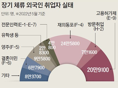 장기 체류자 외국인 취업자 실태