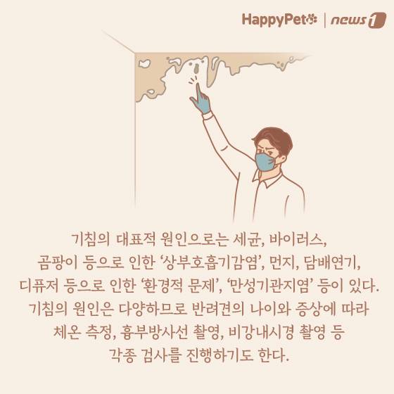 강아지 호흡기 질환 펫카드