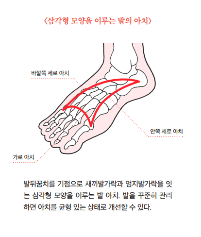 맨발걷기 하면 큰일 나는 발 상태, '이곳' 살펴보세요 | 책방구