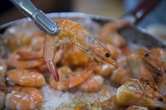 대하 왕소금구이, 사진=홍성군 제공.