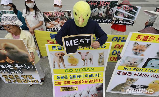[서울=뉴시스] 최동준 기자 = 한국동물보호연합이 4일 서울 광화문 광장에서 세계 동물의 날을 맞아 기자회견을 열고 동물복지, 동물권리, 채식을 촉구하고 있다. 2023.10.04. photocdj@newsis.com