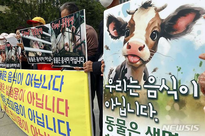 [서울=뉴시스] 최동준 기자 = 한국동물보호연합이 4일 서울 광화문 광장에서 세계 동물의 날을 맞아 기자회견을 열고 동물복지, 동물권리, 채식을 촉구하고 있다. 2023.10.04. photocdj@newsis.com
