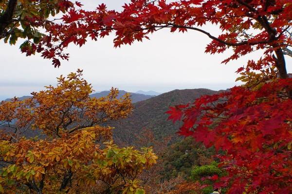 지리산 / 국립공원공단