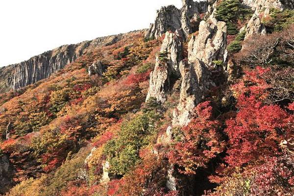 한라산 영실기암 / 한국일보