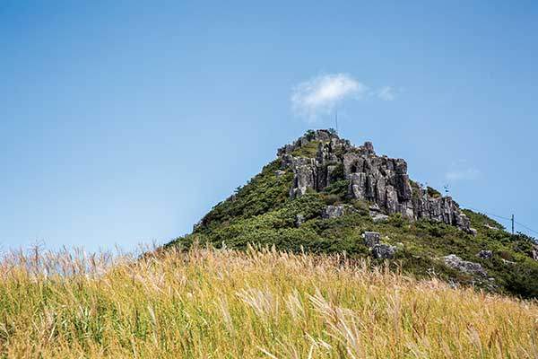 넓게 펼쳐진 억새밭에서&nbsp;올려다 본 인왕봉.