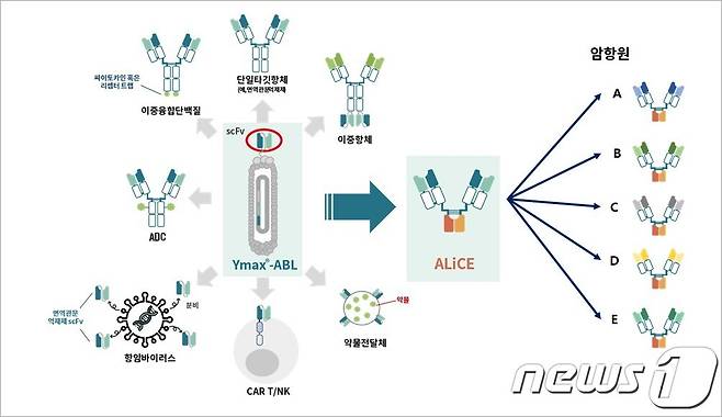 와이바이오로직스 플랫폼 기술로부터 파생될 수 있는 다양한 형태의 신약 물질.(와이바이오로직스 제공)