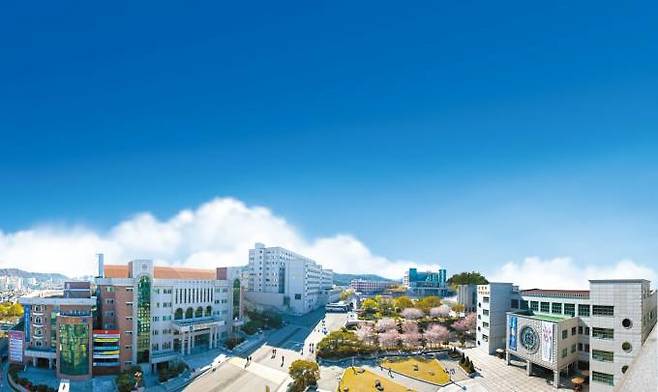 대구과학대 2024학년도 수시1차 모집 경쟁률이 3.9대 1로 나타났다. (대구과학대 제공) 2023.10.06