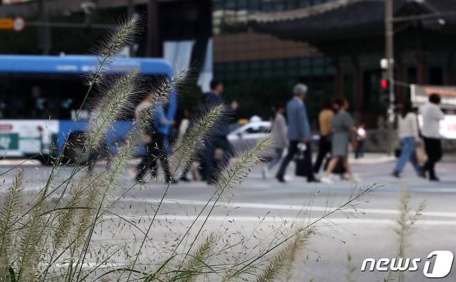 금요일인 7일 충북·세종은 낮과 밤의 기온차가 10도 안팎으로 크겠다.(사진은 기사 내용과 무관함) /뉴스1