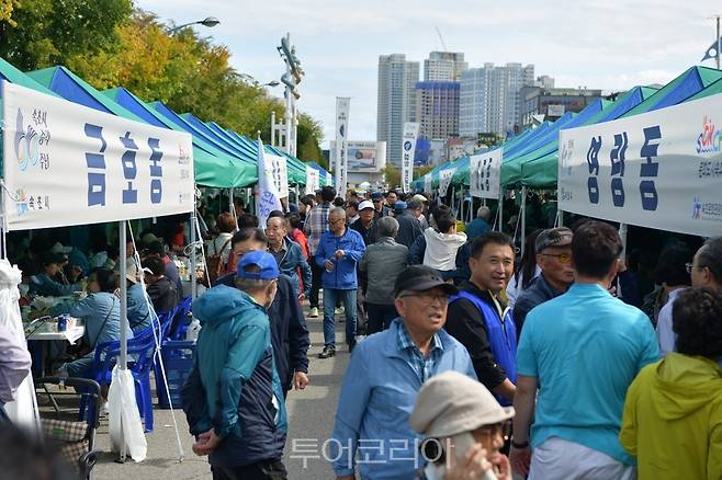 제58회 설악문화제 풍경.[사진=속초시]