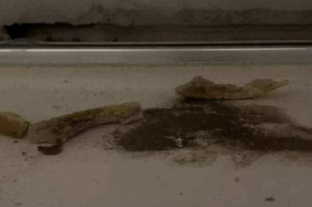 서울의 한 신축 아파트 천장에서 나온 썩은 샌드위치 [사진 = 연합뉴스]