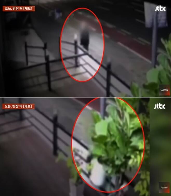영업 끝난 가게의 외부 테라스에 있는 화분을 몰래 훔쳐간 남성의 모습이 공개됐다. JTBC '사건반장' 갈무리