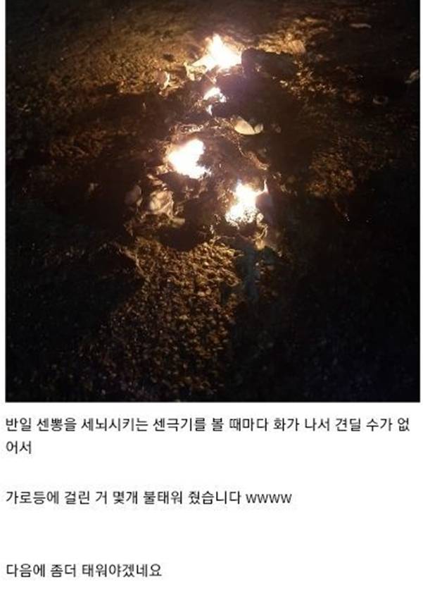한글날 전날인 지난 8일 오전 6시25분쯤 디시인사이드에 태극기를 불태워 인증한 사진이 올라왔다. /사진=디시인사이드