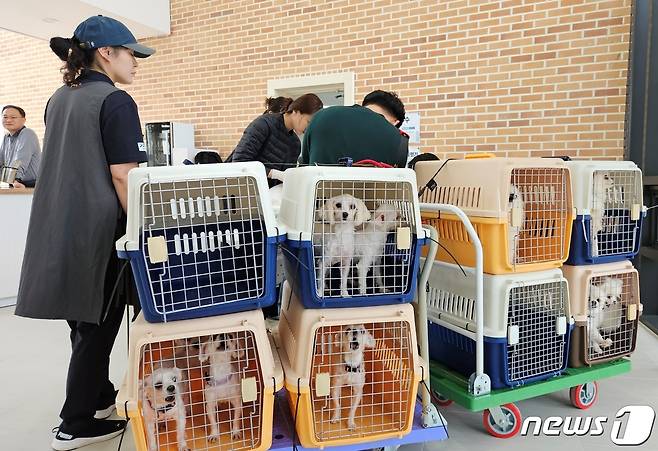 경기도수의사회와 블루엔젤봉사단은 8일 경기 반려마루에서 봉사활동을 진행했다. ⓒ 뉴스1 최서윤 기자