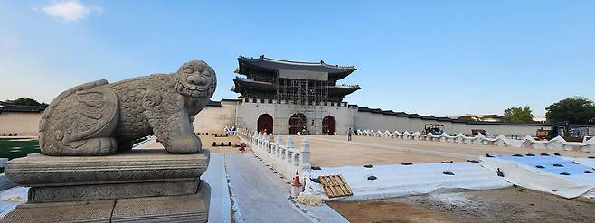 강정현 기자