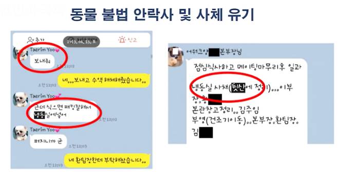 적발된 반려동물 생산업체 대표가 직접 단체 채팅방에서 불법 안락사를 지시하는 정황. 국회인터넷의사중계시스템