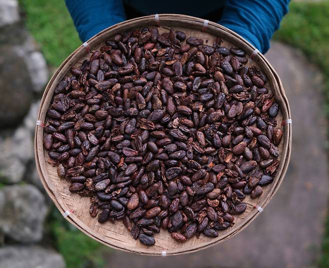 필리핀은 카카오에 대한 자부심도 높다