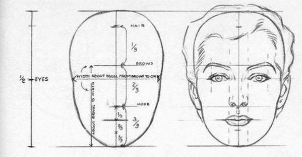 의학이나 미술 분야에서 모두 상, 중, 하안면의 높이가 1 : 1 : 1일 때 아름답다고 본다. [그림=William Andrew Loomis]