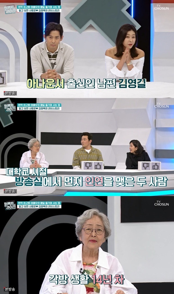 TV조선 ‘퍼펙트라이프’ 캡처